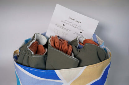 Reusable Diapers - Kit